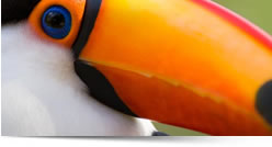 Viaggi in Perù, Viaggi su misura