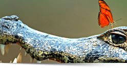 Viaggio in Peru, Offerte di Viaggi Organizzati